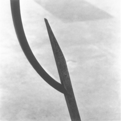 s0203.jpg