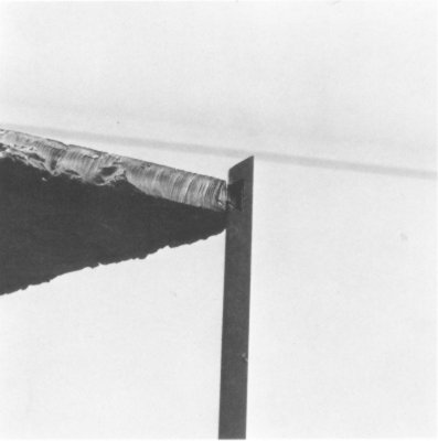 s0601.jpg