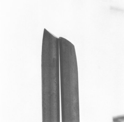 s1501.jpg
