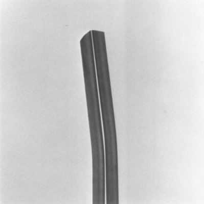 s1703.jpg