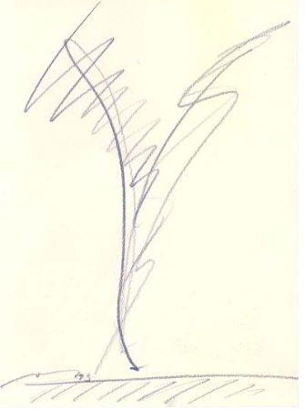 z01.jpg