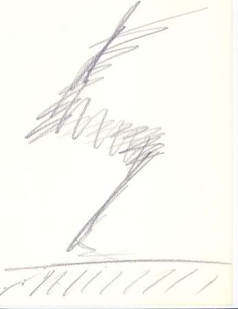 z03.jpg