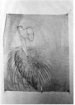 Z0102.jpg